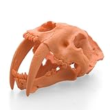 FB-001 Honekeshi Sumirodonsukaru Orange by Febaritto