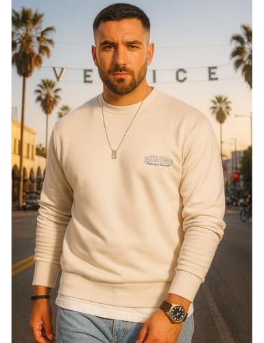 JACK & JONES Herren Sweatshirt mit Rundhals Crewneck Pullover Sweater für Männer im Regular-Fit JJ24741-MOO-L