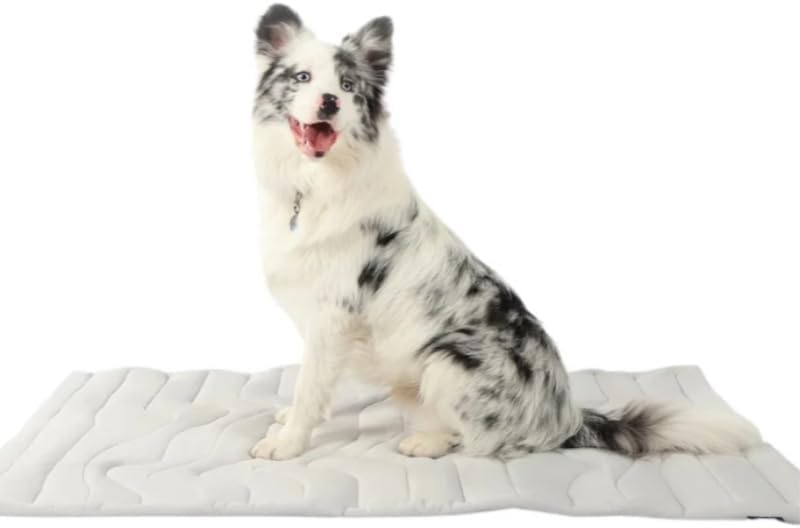 Tapis rafraîchissant animaux en soie glacée pour une détente estivale