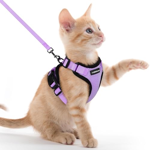 rabbitgoo Pettorina Gatto Antifuga con Guinzaglio, Guinzaglio per Gatti Regolabile, Pettorina Cane Taglia Piccola Riflettente, Imbracatura Gatto Adulto in Maglia Traspirante, Viola Chiaro, XXS