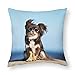 1 funda de cojín divertida de Chihuahua para perros, fundas de almohada decorativas de 30 x 30 cm