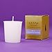 Lavender de Provence Trapp Giant Votive No. 25