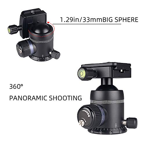 AOKA Professional 360-Degree Rotating Panoramic Ball Head with 1/4-inch Quick Release Plate, Self-Weight 1.08 lbs/0.49 kg, Maximum Load 66 lbs/30 kg, Suitable for Tripods, Monopod, SLR Cameras (KK33)
