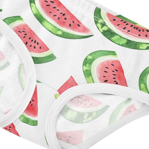 Wusikd Watercolor Red Girls' Underwear Cotton Red Watermelon Girls Briefs Soft Toddler Underwear 2T4