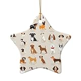 Pour les arbres de Noël, les présentations de détail, les intérieurs de maison ou les célébrations de mariage. Leur design neutre complète les thèmes : accrochez-les aux fenêtres, aux murs ou aux colis. Légers, ils servent de charmants ornements, cadeaux de fête ou souvenirs personnalisés pour les amateurs d'artisanat et les planificateurs d'événements.