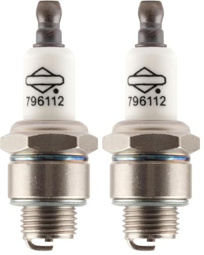 Briggs & Stratton 796112S Spark Plug Replaces 4220-8025925-796112 (Pack of 2)