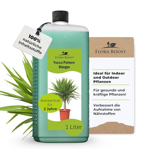 Konfitee Yucca Palmen Dünger Flora Boost 1000ml I Für bis zu 200L Gießwasser I Zimmerpflanzen Dünger für Palmlilien I Flüssiger Blatt- & Wurzeldünger I 100% natürlicher Pflanzendünger