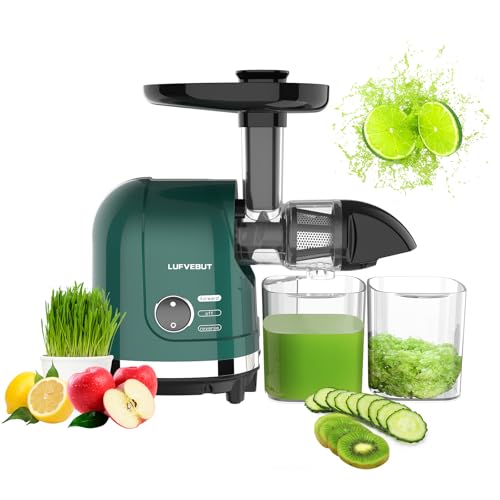 Slow Masticating Juicer for Fruits & Vegetables