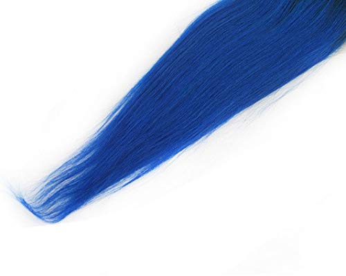 HairPR Ombre Hair Weft Remy Indain Virgin Human Hair 10"Closure Blue Silk Straight Free Part