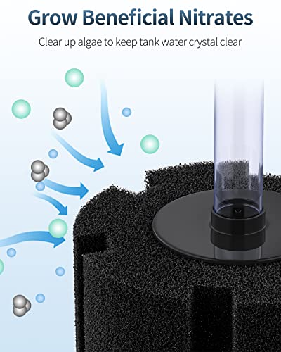 Pawfly Aquarium Large Bio Sponge Filter Quiet Betta Fry Shrimp And Fish Foam Filter With Nano Air Stone For Large Fish Tanks Up To 220 Gallons #TOP2