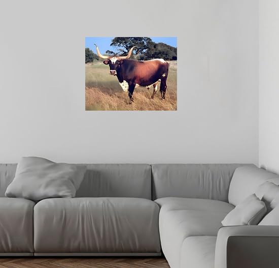 Miniatura 4 de Póster de Texas Longhorn vaca, novillo, granja, naturaleza, animales, paisaje, decoración de pared, impresión artística (16 x 20 pulgadas)