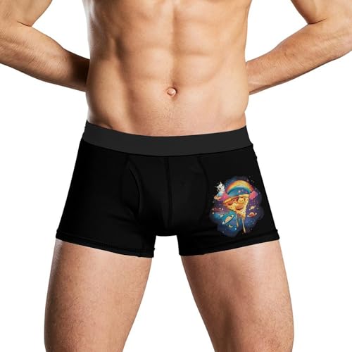 Psychedelic Pizza Planet Rainbow Cat Comfortable Mens Underwear Boxer Briefs Lightweight Stretch Panties