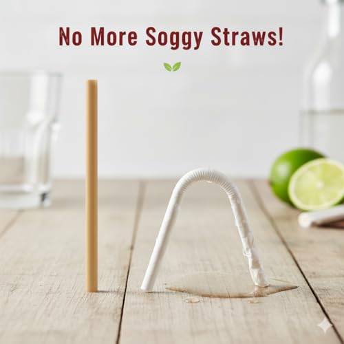 Pitillos de fibra de agave, pack de 200, compostables miniatura 4