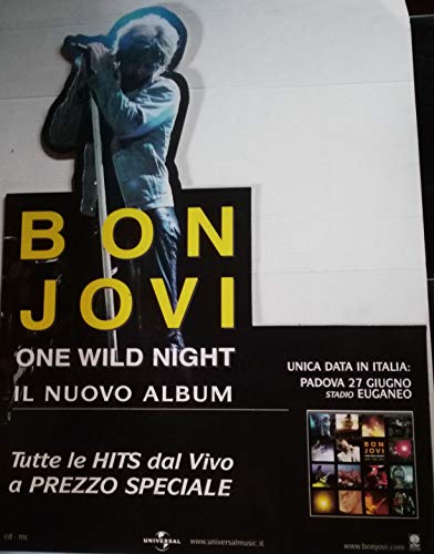 Bon Jovi One Wild Night Promo Display Stand transforme votre salon en temple du rock vintage