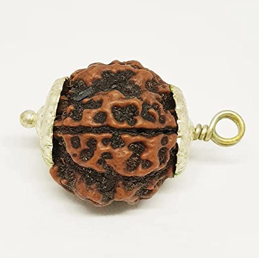Pure 7 Mukhi Rudraksha Nepali 7 Face Rudraksha Original Certified by IGL with Silver Capping Saat Mukhi Rudraksh सात मुखी रुद्राक्ष Rudraksha Rudraksha सात 7 मुखी रुद्राक्ष ओरिजिनल