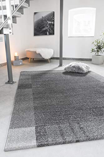 andiamo Webteppich Sant Jordi Bordüre Modern Kurzflor Polypropylen Teppich Color Gris, 120 x 170 cm
