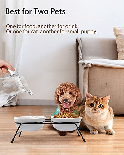 Cat Bowls, Upgraded 13 Oz Ceramic Elevated Cat Food Bowls For Food And Water, Raised 2 Cat Dishes With Stainless Steel Stand Non-Slip And Anti-Rust, For Indoor Cats And Small Dog Bowl, Dishwasher Safe #TOP4
