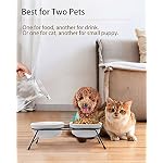 Anti-Vomiting Raised Cat Bowls - 2 × 13 oz Ceramic Cat Food & Water Bowls with Non-Slip Stainless Steel Stand, Dishwasher Safe for Indoor Cats - Image 5