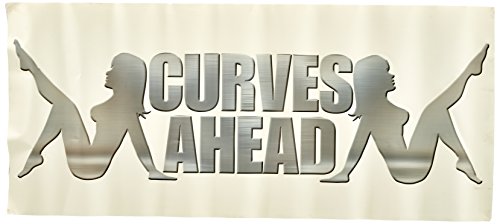Paper House Productions WA-1024E Sticky Pix Wall Murals Sticker, Mini, Curves Ahead (2-Pack)