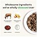 Open Farm Freeze Dried Raw Dog Food, Humanely Raised Meat Recipe with Non-GMO Superfoods and No Artificial Flavors or Preservatives (3.5 Ounce (Pack of 1), Grass Fed Beef Recipe)