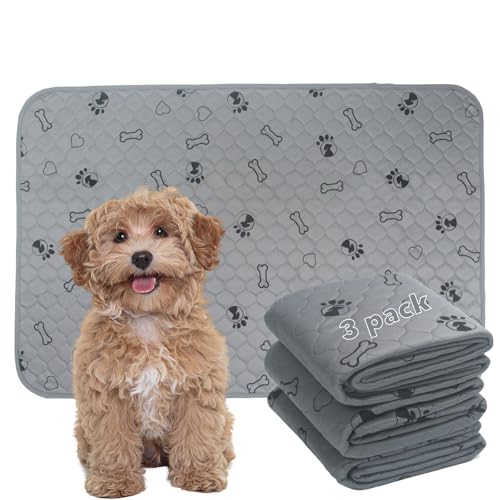 3 Pack 36x41 Reusable Puppy Pads With Blanket, Washable Waterproof Dog Potty Buddy, Super Absorbent Pee Pads for Dogs