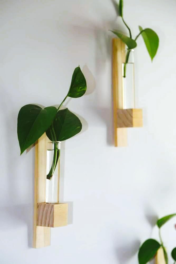 Test Tube Wall Planters (Set of 2) | Hanging Stick-On Planter for Indoor Plants | Decorative Natural Planter Double-Sided Tape-image-42