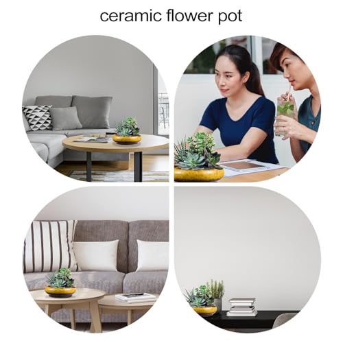 Pot de fleurs céramique succulentes à évacuation d'eau pour éviter le pourrissement - 6