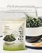 Sempio Crispy Seaweed Snack, Original , 1.76 Ounce 김자반