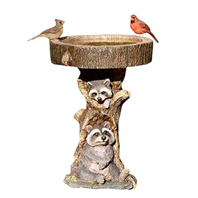 BYYLECL Bird Bath for Garden, Garden Statue Ornament Resin, Raccoon Bird Bath Bowl for Outdoors Garden Backyard Landscape Decorations, 20cm(7.87IN)