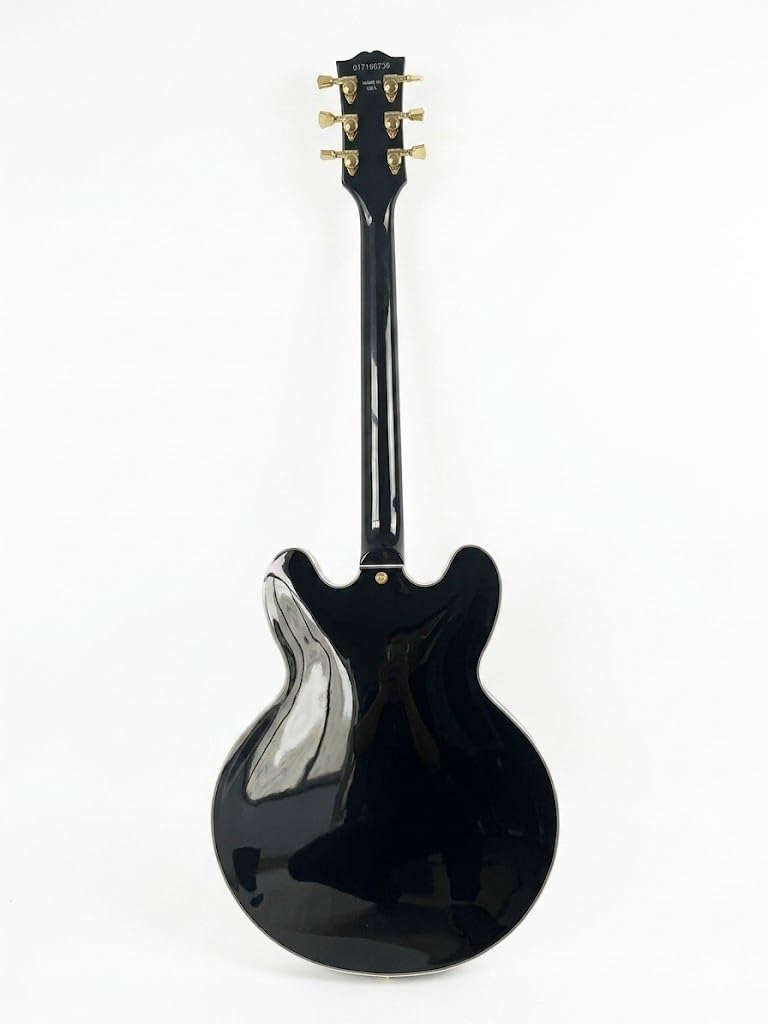 Chitarra elettrica a corpo semi-cavo, nera classica con fori a F e doppi humbucker, 6 corde full size for jazz blues rock (Guitarra elettrica)