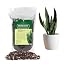 Snake Plant Potting Soil Mix