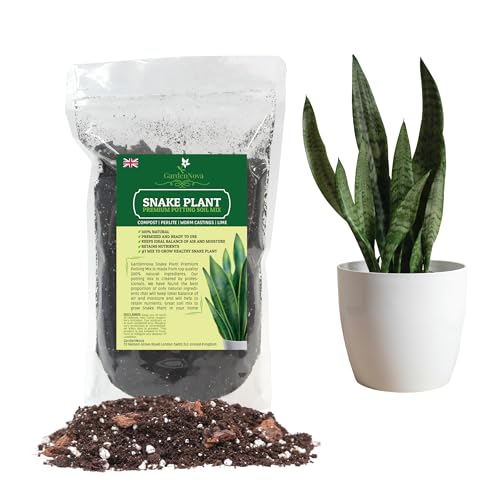 Premium Snake Plant Potting Soil Mix - Green Sansevieria Trifasciata Zeylanica - Re-Pot Your Snake Plant - 1 Liter Bag