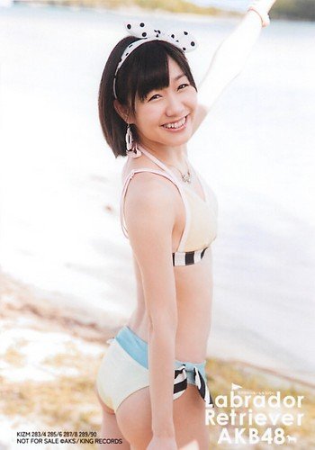 AKB ラブラドールレトリバー 劇場 生写真 Amazon.co.jp: AKB48 公式生写真 ラブラドール・レトリバー 封入