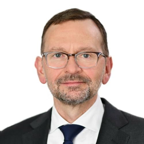 Episode 65: Lazard Chief Market Strategist Ronald Temple Podcast Por  arte de portada