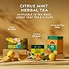 Gya Tea Co Citrus Mint Tea Bags (20 Bags) - Decaf ... #5