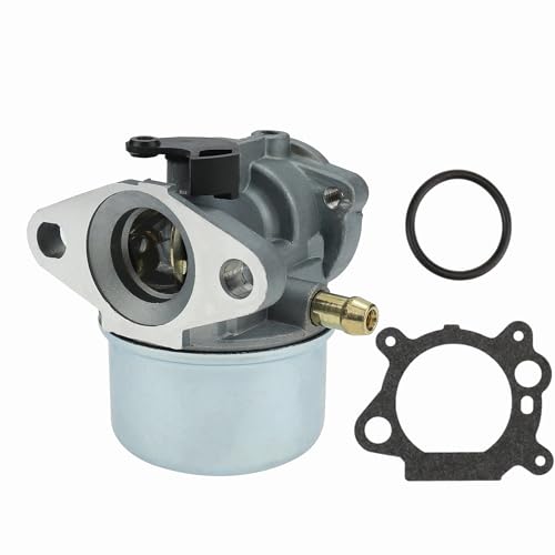Carburateur Briggs & Stratton 799868 pour l'entretien de votre jardin