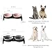 Ceramic Grey Dog Bowl Set - 6 inch Wide Pet Food & Water Bowls, Elevated Feeding Porcelain with Metal Stand for Indoor Cats and Medium Dog,2 Bowls+1 Stand Set for Wet and Dry Food