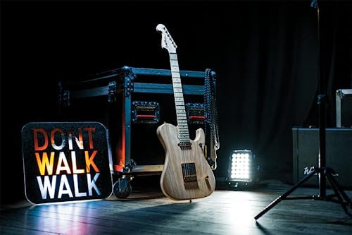 Washburn Usa Custom Shop, 6-String Solid-Body Electric Guitar, Right, Natural Swamp Ash (Nelestd-M) #TOP4