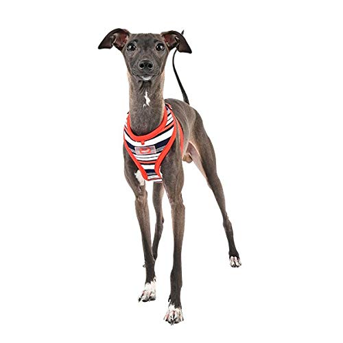 Harnais Puppia Soft Océane Rouge et Bleu respirant ajustable L