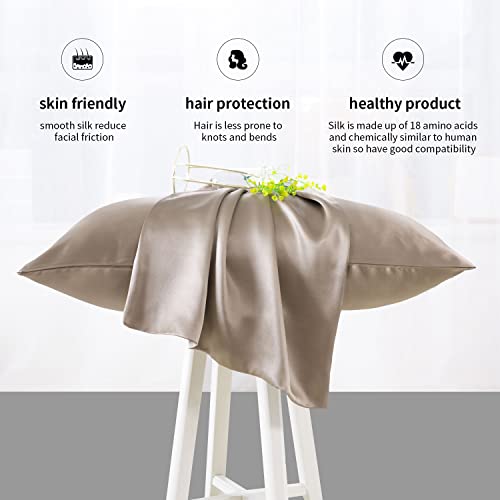 Zimasilk 100% Mulberry Silk Pillowcase For Hair And Skin Health,Soft And Smooth,Both Sides Premium Grade 6A Silk,600 Thread Count,With Hidden Zipper,1Pc(Standard 20''X26'',Taupe) #TOP4