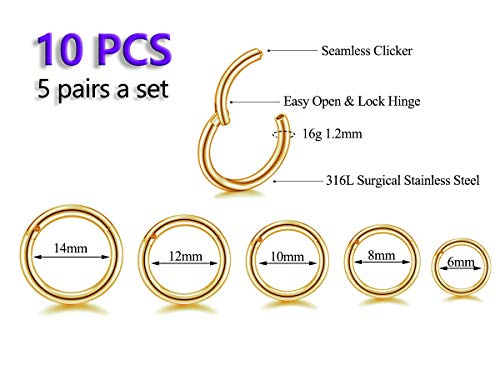 16G Surgical Steel Hinged Clicker Segment Nose Rings Hoop Helix Cartilage Daith Tragus Sleeper Earrings Body Piercing For Women 6Mm 8Mm 10Mm 12Mm 14Mm 10Pcs A Set (16G - Gold - (6Mm-14Mm) - 10Pcs) #TOP1