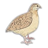 2 x 10 cm hohe Wachtelvogel-Vinyl-Aufkleber – Illustration Tiere Mädchen Kinder Frauen Aufkleber #77436