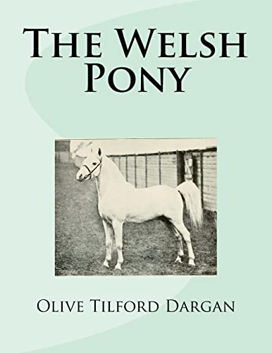  The Welsh Pony