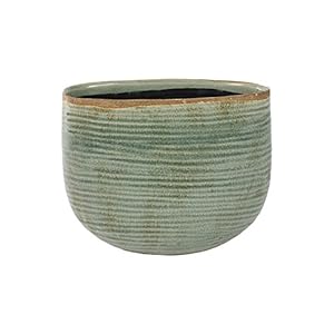 Ivyline 136335 plantenbak Como mint D26 x 13 H20 – groen