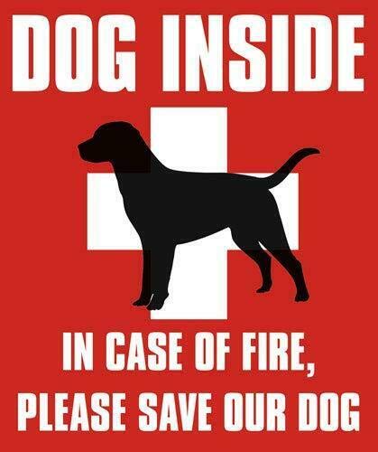 JR Studio 4x4 inch Dog Inside in Case of Fire Please Save Our Dog Sticker -pet fire Safety Vinyl Decal Sticker Car Waterproof Car Decal Bumper Sticker