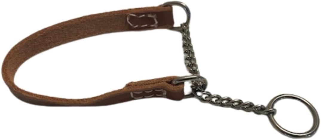 Joel Silverman's Patented Alternative Training Collar (Medium II) - Alternative to a Martingale and Pinch Collar!