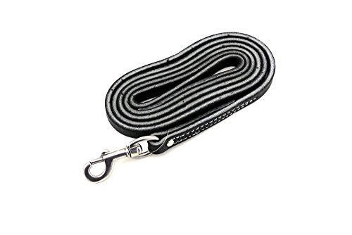 Leerburg Amish Leather Leash, 6' Long 1/2" Wide, Black w/ Stainless Steel Hardware