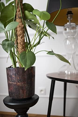Simply The Best Solo 2021 | Flowerpot Herb Plant Flower pot | Balcony Garden Container | Organizer box decor | (190, Rust 2)