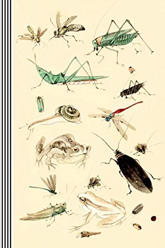 Guitar Tab Paper Composition Notebook: Notation Composition 