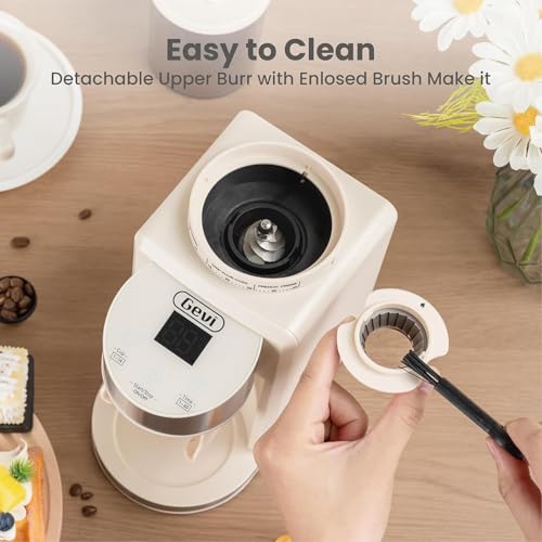 Gevi Coffee Grinder Electric thumbnail 7